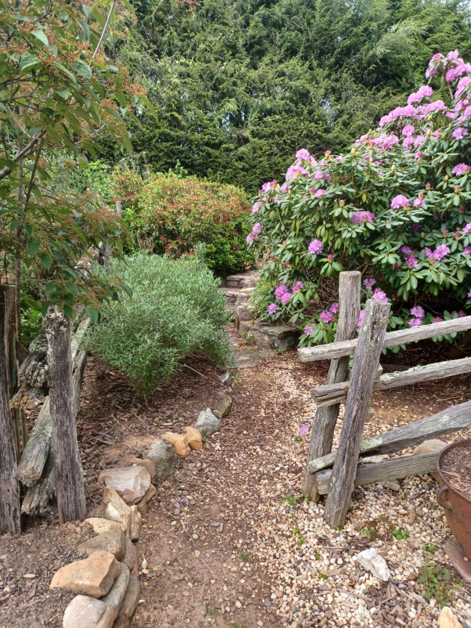 Restored1850S Log Cabin, With Gazebo And Gardens! 1 Mile To Downtown Weaverville Buitenkant foto