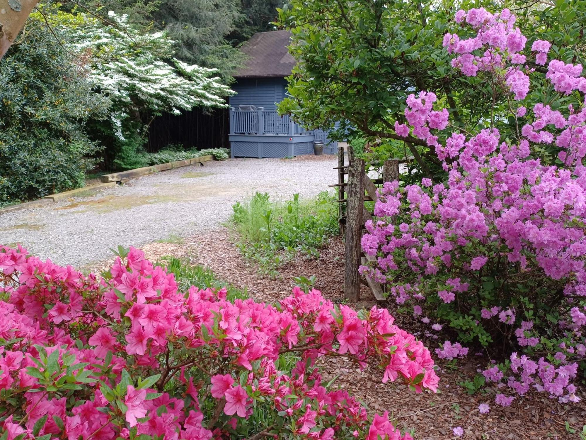 Restored1850S Log Cabin, With Gazebo And Gardens! 1 Mile To Downtown Weaverville Buitenkant foto